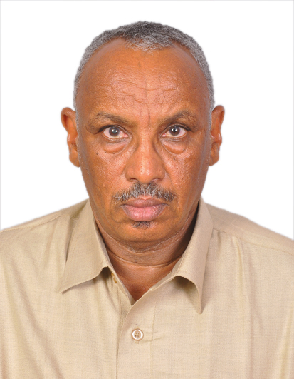 Abdalla Ali Mohammed